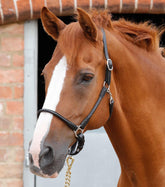 Hennaroso Rolled Anatomic Leather Head Collar